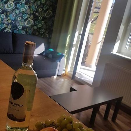 MJ Apartament Kamienna Wisła Zewnętrze zdjęcie