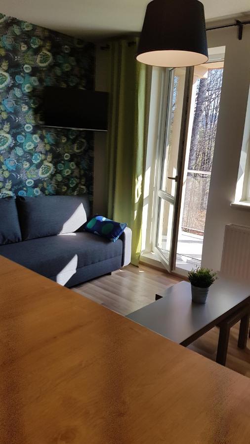 MJ Apartament Kamienna Wisła Zewnętrze zdjęcie